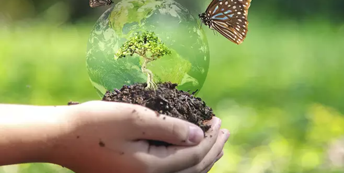 Featured Image
