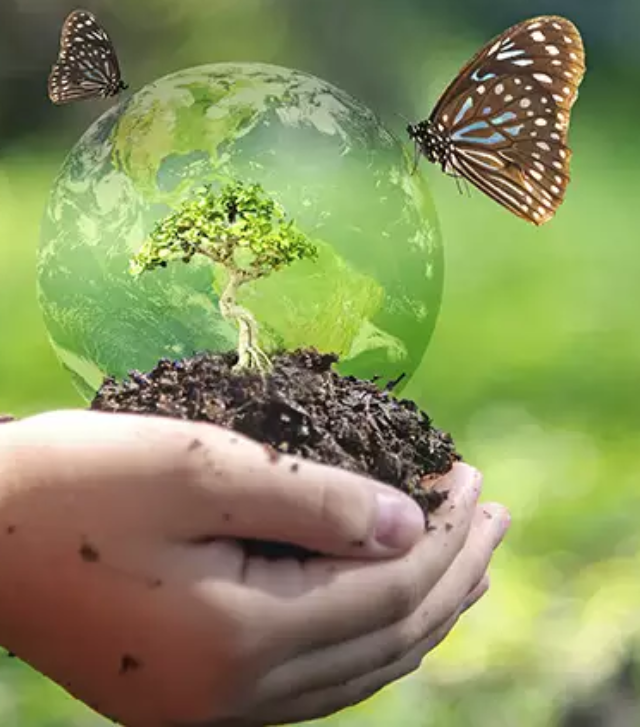 Featured Image