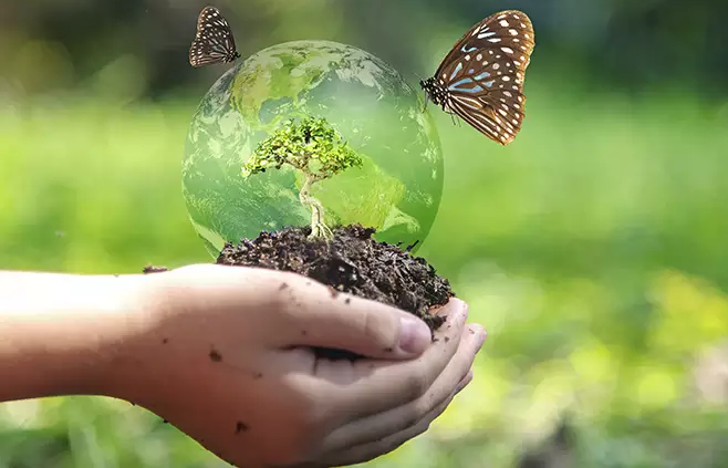 Featured Image
